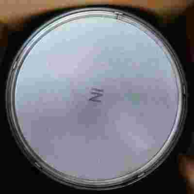 comprar Mass Production High Temperature Stability Selective Catalytic Reduction Catalyst for Commercial Vehicle Aftertreatment Fabricación en línea